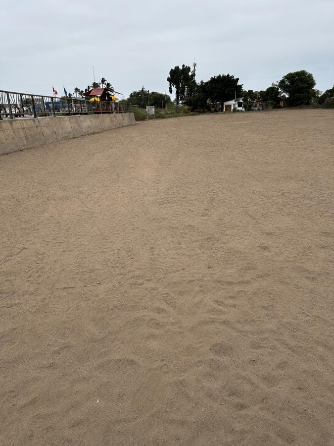 Terreno del proyecto a filo de pista